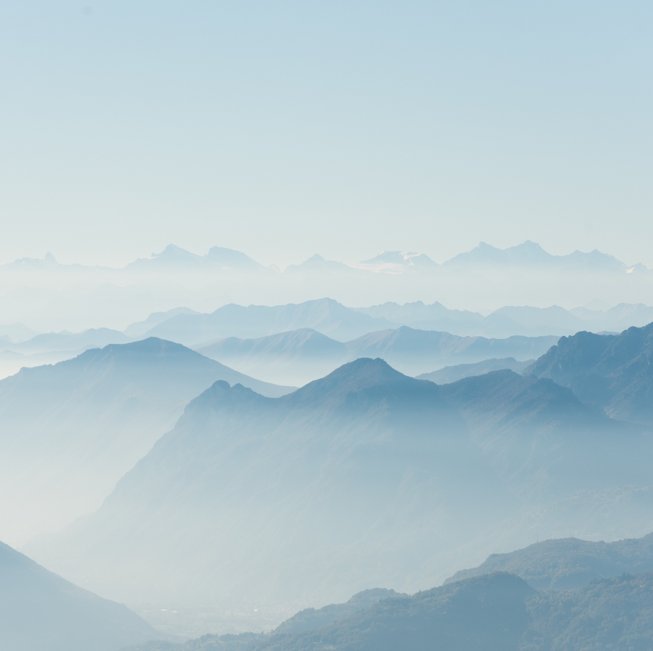 Michael Skinner profile